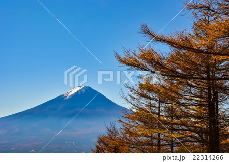 秋の冨嶽風景 (42) 22314266