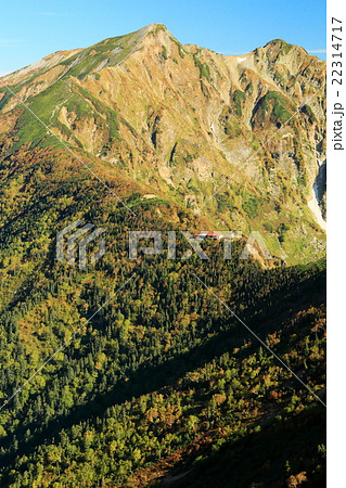 北アルプス・爺ヶ岳から見る秋色の鹿島槍ヶ岳 22314717