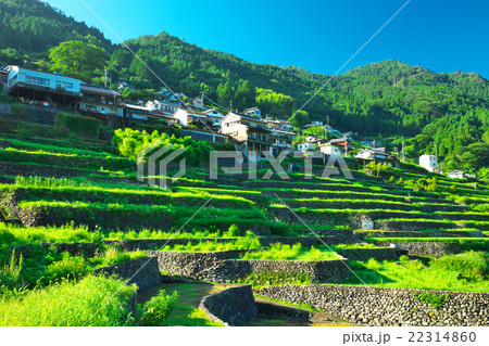 高知県　仁淀川町　だんだんの里 22314860