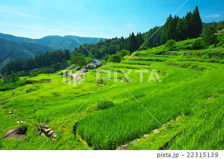 高知県　梼原町　檮原棚田 22315139