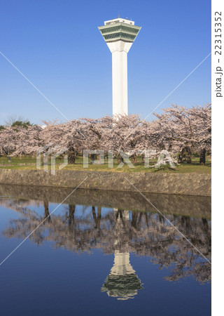 お堀に映る五稜郭タワーと満開の桜の花 お堀に映る五稜郭タワーと満開の桜の花 22315352