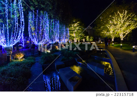 東京　ミッドタウンのクリスマスイルミネーション 22315718