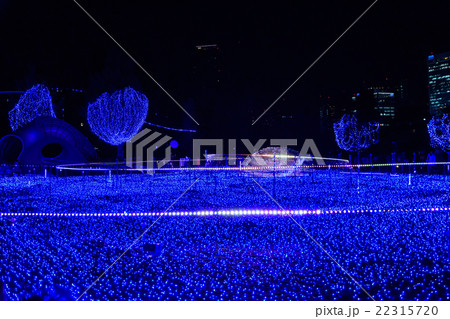 東京 ミッドタウンのクリスマスイルミネーション 東京 ミッドタウンのクリスマスイルミネーション 22315720