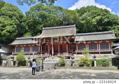 薬師寺 休ヶ岡八幡宮 薬師寺 休ヶ岡八幡宮 22316029