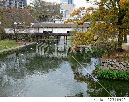 大分城址公園 大分城址公園 22316905
