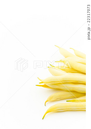 黄色サヤインゲン:Yellow Wax Beans 22317073