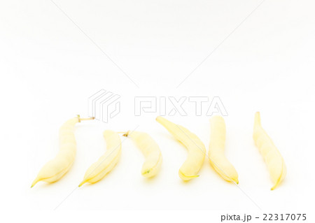 黄色サヤインゲン:Yellow Wax Beans 黄色サヤインゲン:Yellow Wax Beans 22317075