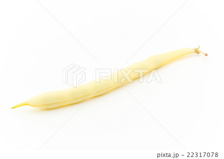 イエローワックスビーンズ:Yellow Wax Beans 22317078