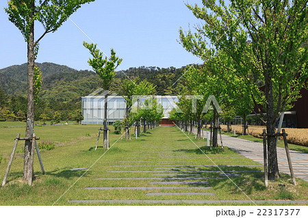 島根県立古代出雲歴史博物館 島根県立古代出雲歴史博物館 22317377