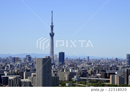 東京スカイツリーと街並み 東京スカイツリーと街並み 22318020