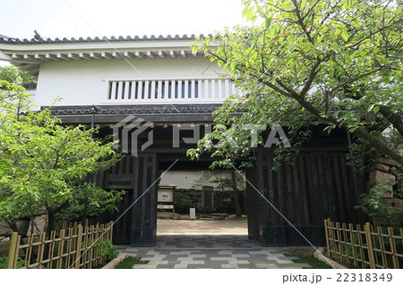 岸和田城大手門 22318349