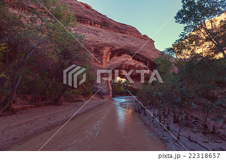 Coyote Buttes 22318657