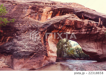 Coyote Buttes 22318658