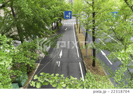 新緑のなにわ筋 22318704