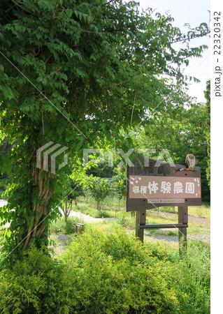 丹後王国「食のみやこ」 22320342