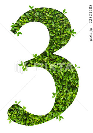 number 3, alphabet of green leaves 22321288