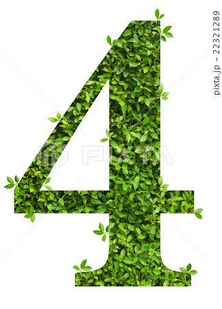 number 4, alphabet of green leaves 22321289