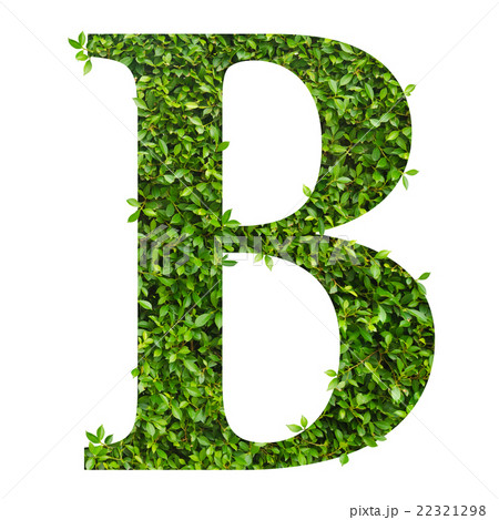 Letter b alphabet of green leaves Royalty Free Vector Image