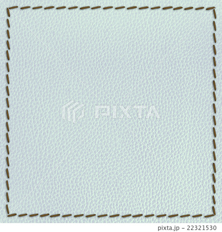 leather texture background with seam 22321530