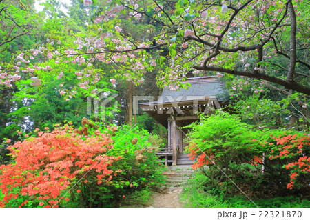 世界遺産　新緑の平泉中尊寺　 22321870