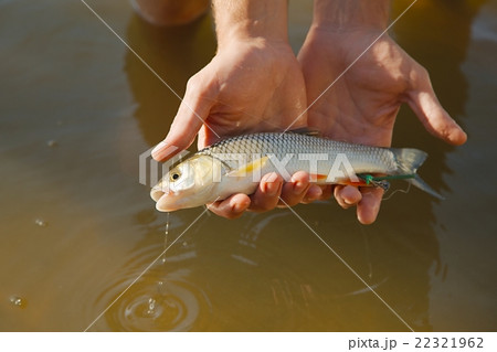 Small fish caught 22321962