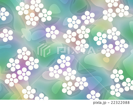 もやぼかしに花模様 22322088
