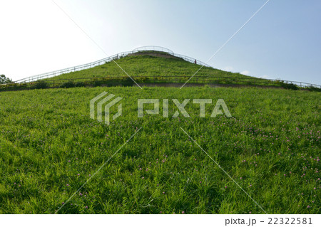 川和富士 川和富士 22322581