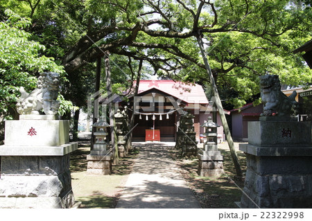 星影神社の写真素材 22322998 Pixta