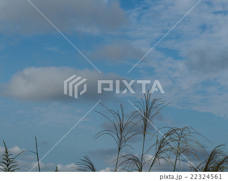 秋の風景 秋の風景 22324561