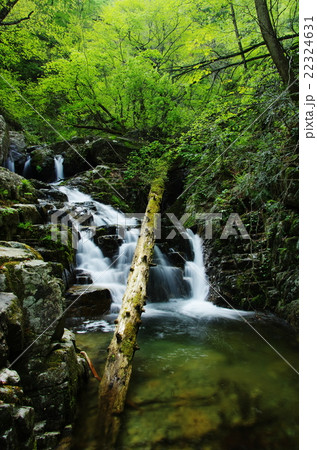 奥匹見狭 奥匹見狭 22324631