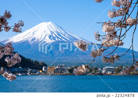 河口湖の富士山と満開の桜 22324878