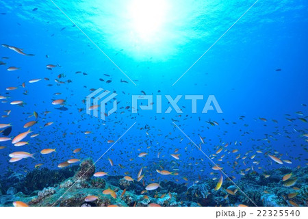 モルディブの海 モルディブの海 22325540