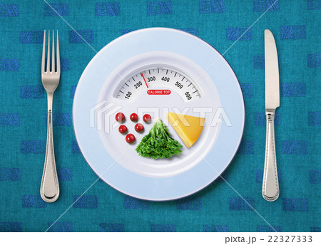 calorie tot of food 22327333