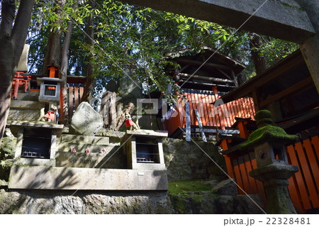 木漏れ日の稲荷神社 22328481