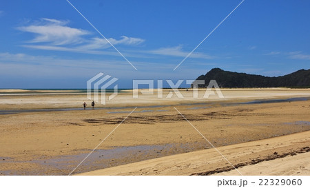 Sandy beach in the Awaroa Inlet Sandy beach in the Awaroa Inlet 22329060