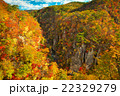 宮城県　大崎市　鳴子峡 22329279