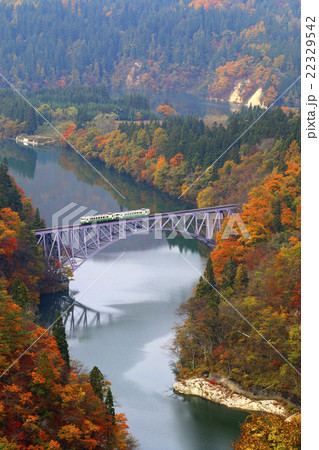 秋の只見川第1鉄橋 22329542