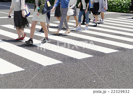 横断歩道　歩行者 22329632