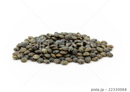 フレンチグリーンレンズマメ: French Green Lentils 22330068