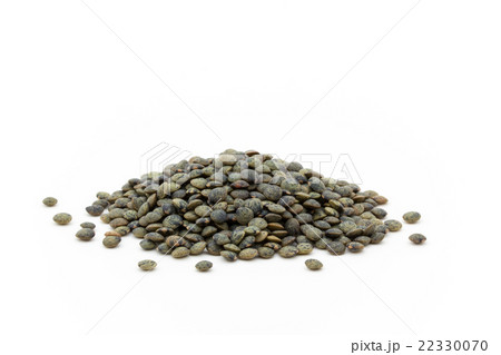 フレンチグリーンレンティル: French Green Lentils 22330070