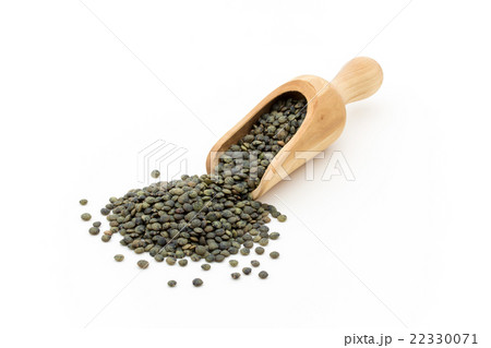 フレンチグリーンレンズ豆: French Green Lentils 22330071