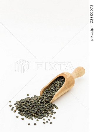 フレンチグリーンレンズマメ: French Green Lentils フレンチグリーンレンズマメ: French Green Lentils 22330072