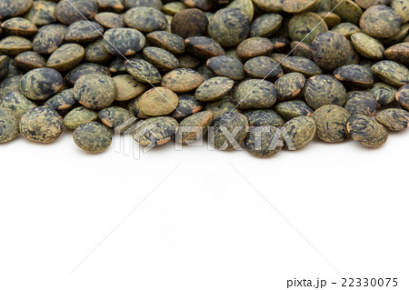 フレンチグリーンレンティル: French Green Lentils フレンチグリーンレンティル: French Green Lentils 22330075
