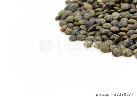 フレンチグリーンレンズマメ: French Green Lentils フレンチグリーンレンズマメ: French Green Lentils 22330077