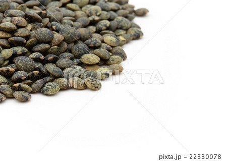 フレンチグリーンレンティル: French Green Lentils 22330078