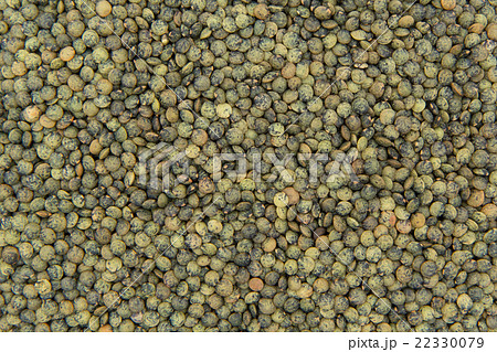 フレンチグリーンレンズ豆: French Green Lentils フレンチグリーンレンズ豆: French Green Lentils 22330079
