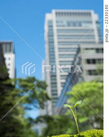 オフィス街と芽生え オフィス街と芽生え 22330180