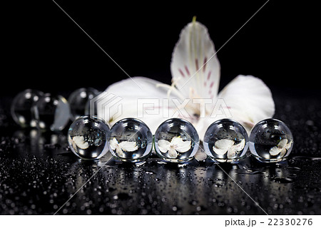 花、アルストロメリア、接写、マクロ。 22330276