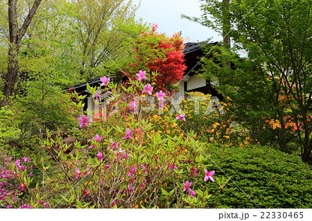 春の庭園 春の庭園 22330465