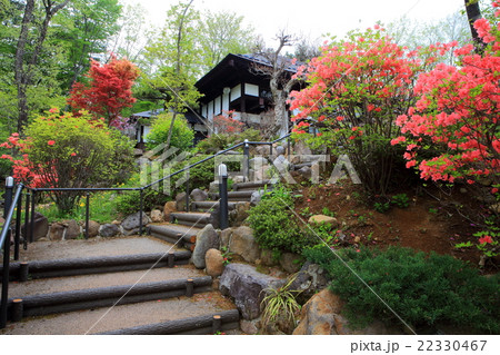 春の庭園 22330467
